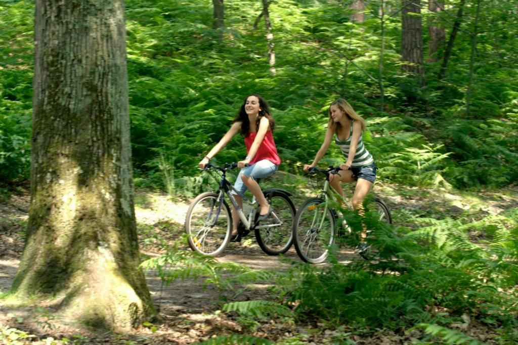 Etape Foret Fontainebleau Climb & Randonnees Arbonne Kültér fotó