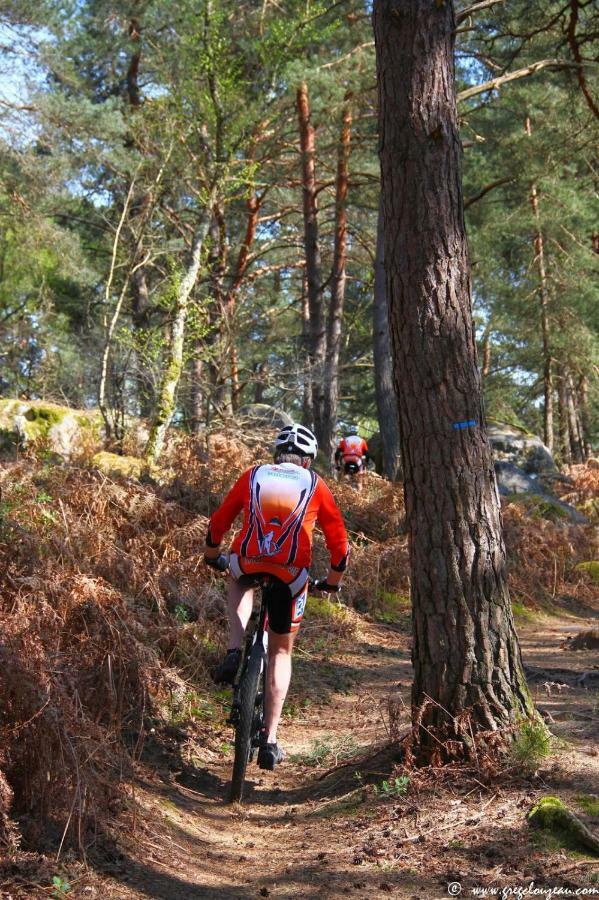 Etape Foret Fontainebleau Climb & Randonnees Arbonne Kültér fotó
